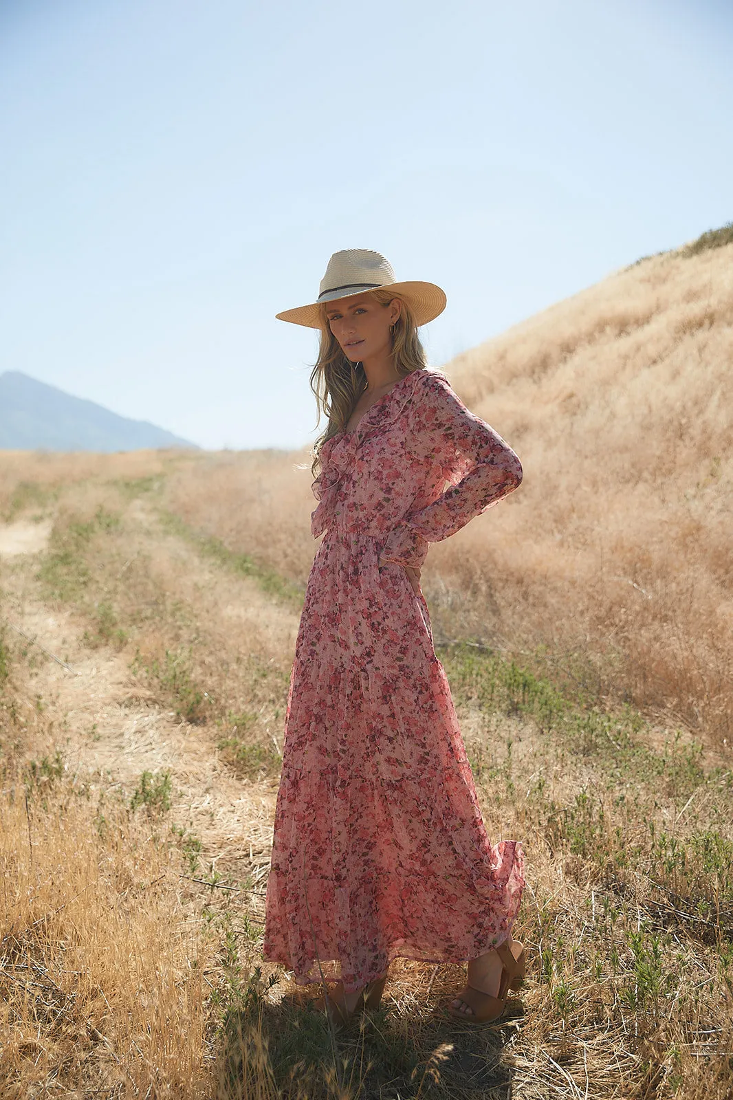 Desert Rose Print Ruffled Maxi Dress