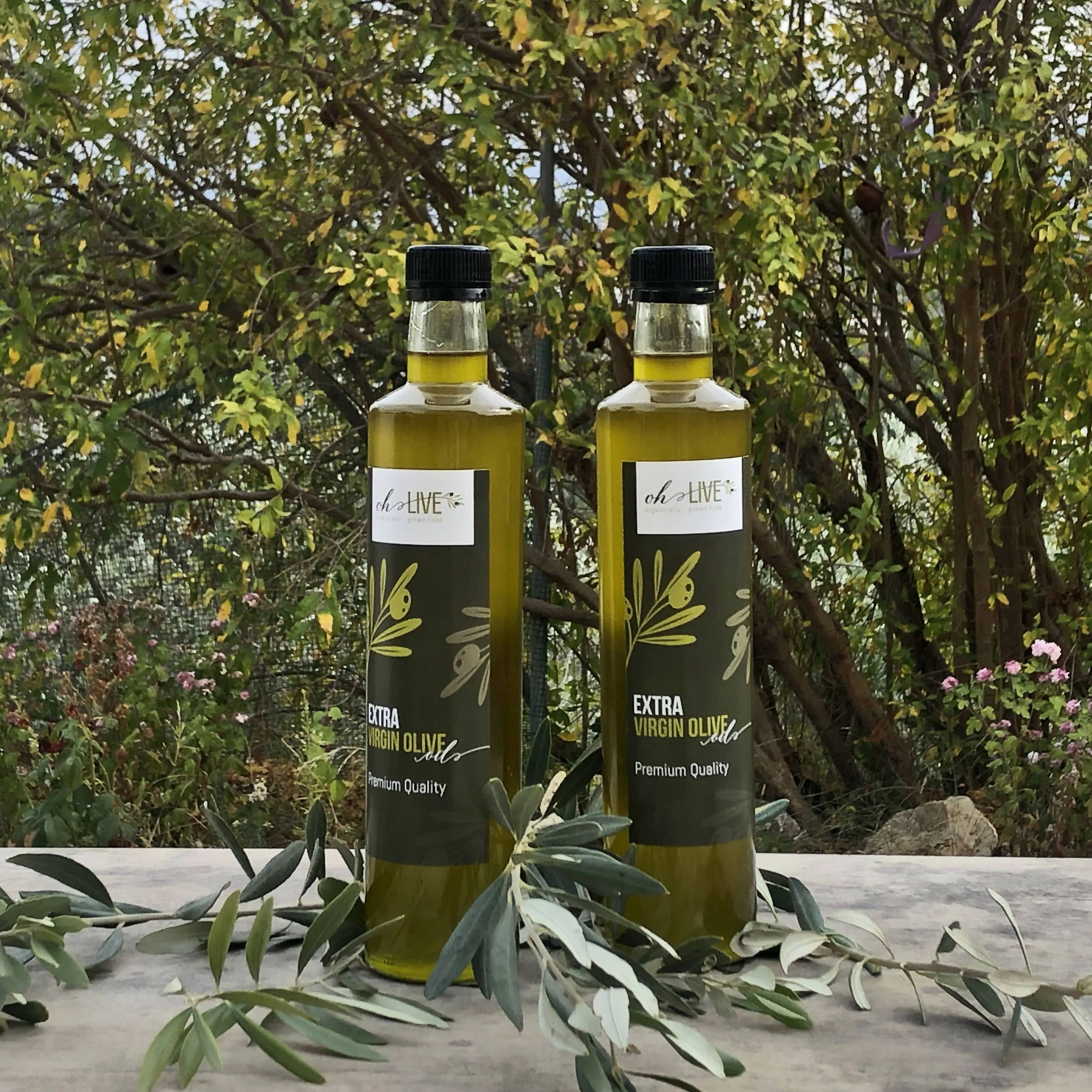 Ohlive Olive Oil